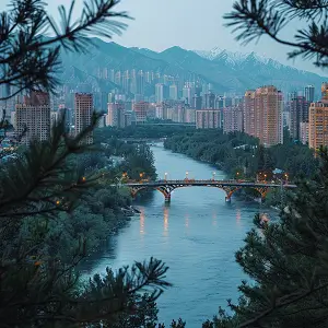 阿烧美食做法视频