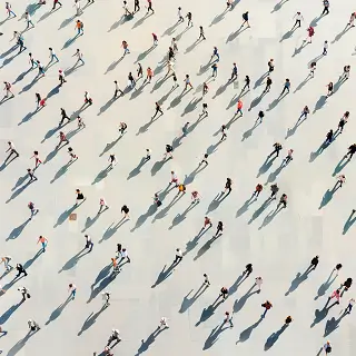 三哥美食草鱼做法