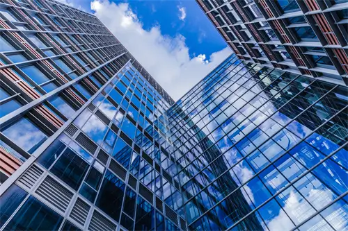 潮州美食做法红烧牛肉